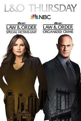 法律与秩序:组织犯罪第二季