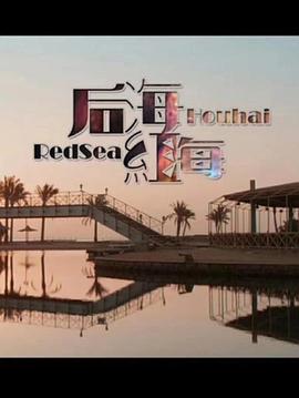 后海·红海海报剧照