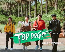 TOP DOG海报剧照