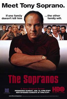 黑道家族 第一季 The Sopranos Season 1[电影解说]
