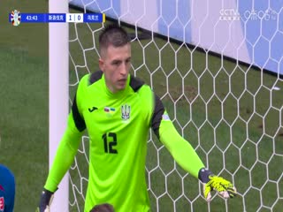 欧洲杯小组赛 斯洛伐克VS乌克兰 20240621