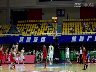 NBL 广西威壮VS武汉锟鹏 20240720}