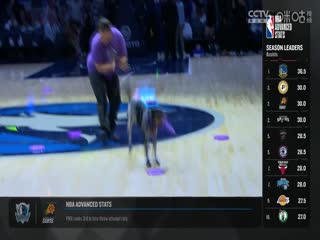 NBA常规赛 猛龙VS森林狼 20241027}