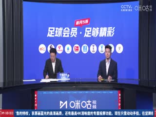 德甲联赛 多特蒙德VS弗赖堡  20241123封面图