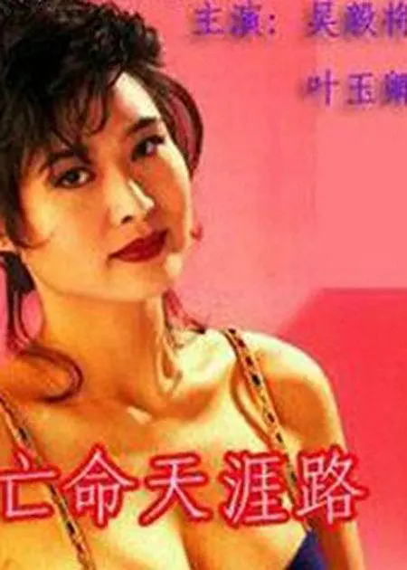 亡命天涯路[国语版]