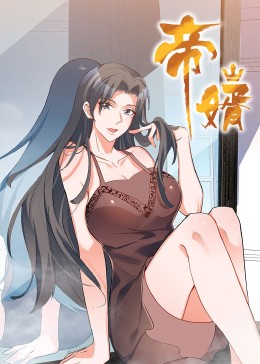 帝婿封面图